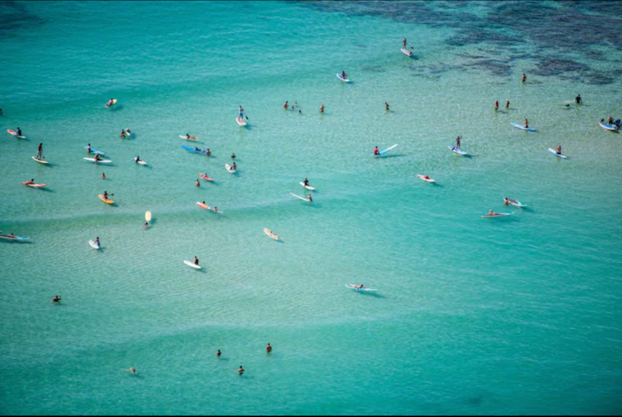 Condo in Honolulu · ★4.82 · 2 bedrooms · 2 beds · 1 private bath - Image 26