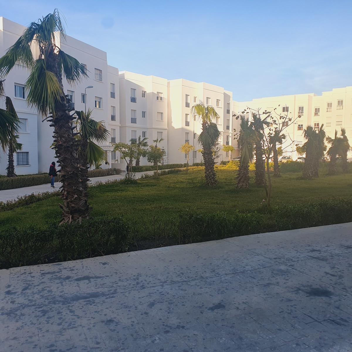 An open courtyard features neatly arranged palm trees and low greenery, providing a serene outdoor space. Surrounding modern white buildings reflect natural light, creating a calm environment. A pathway invites leisurely strolls through the lush garden area.