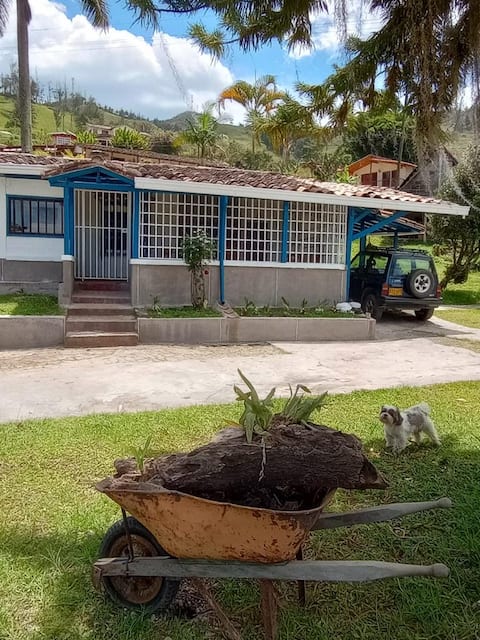 Country house in the village