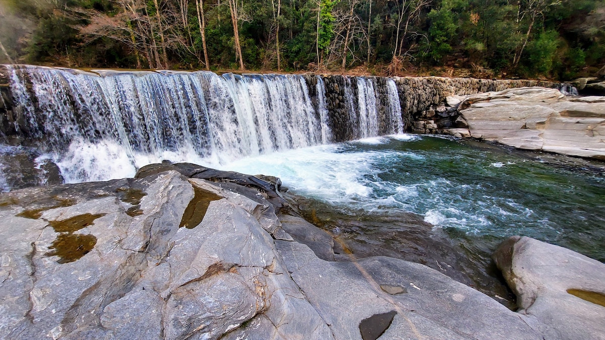 A tranquil waterfall cascades over a rocky ledge, creating dynamic splashes in the clear water below. Surrounding the area, tall trees and lush greenery provide a natural backdrop, while smooth, flat stones line the foreground, offering a serene spot for relaxation.