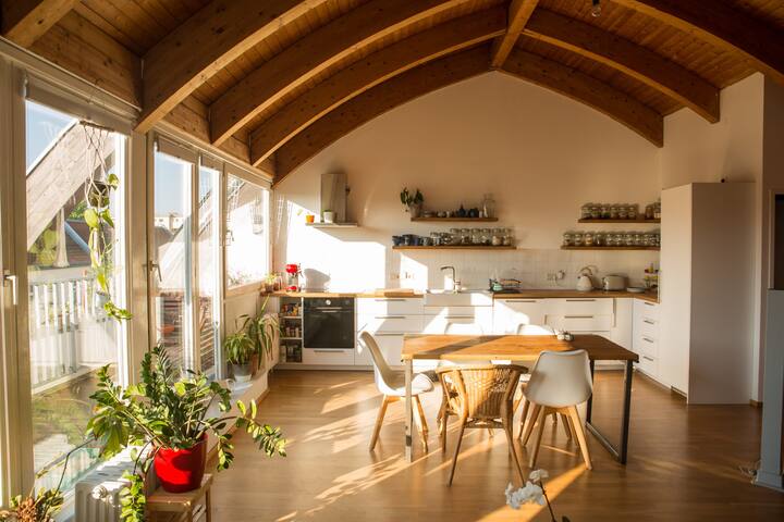 Penthouse + 2 balconies & terrace