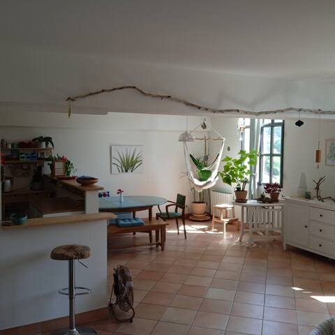 Cozy and bright home
