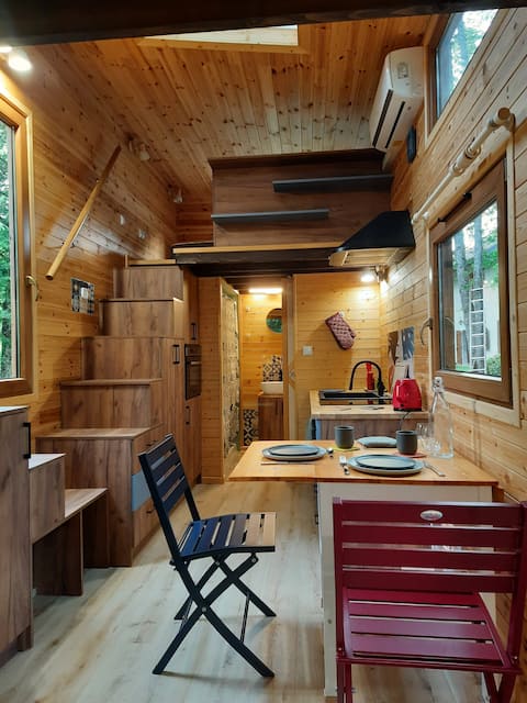 Tiny surrounded by trees