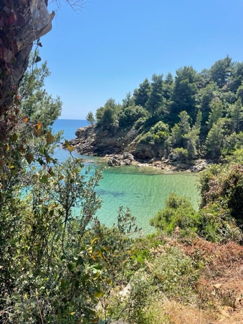 A serene coastal view features clear turquoise waters nestled between rocky outcrops and lush greenery. Trees and plants surround the area, creating a natural frame that highlights the tranquil beauty of the environment and the calmness of the bay.