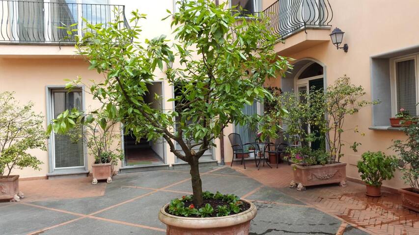 Ghibellina Cellini Apt (10)