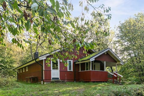 Outdoor cabin in the middle of the forest