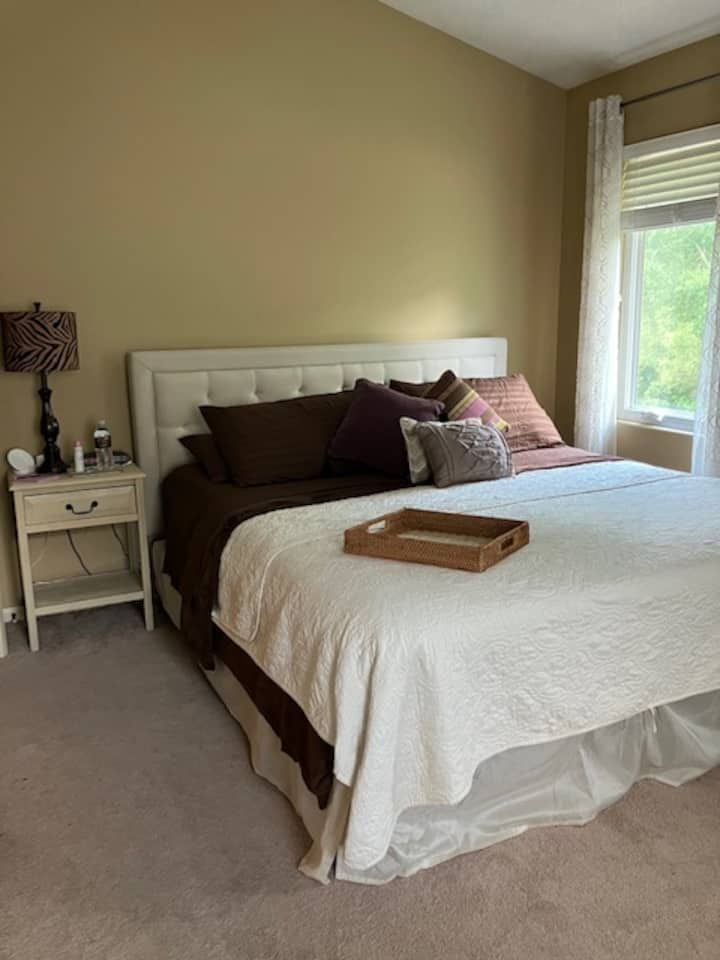 King Suite ცალკე სააბაზანოთი და საშხაპე-კაბელური ტელევიზორით და საშხაპის სკამით