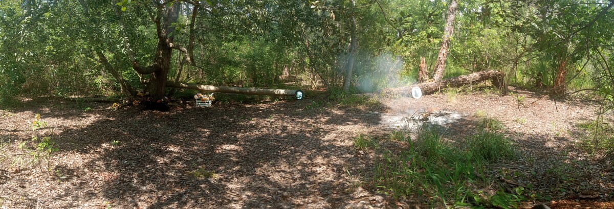 Popular Airbnb listing: Off Grid Oasis in Deltona