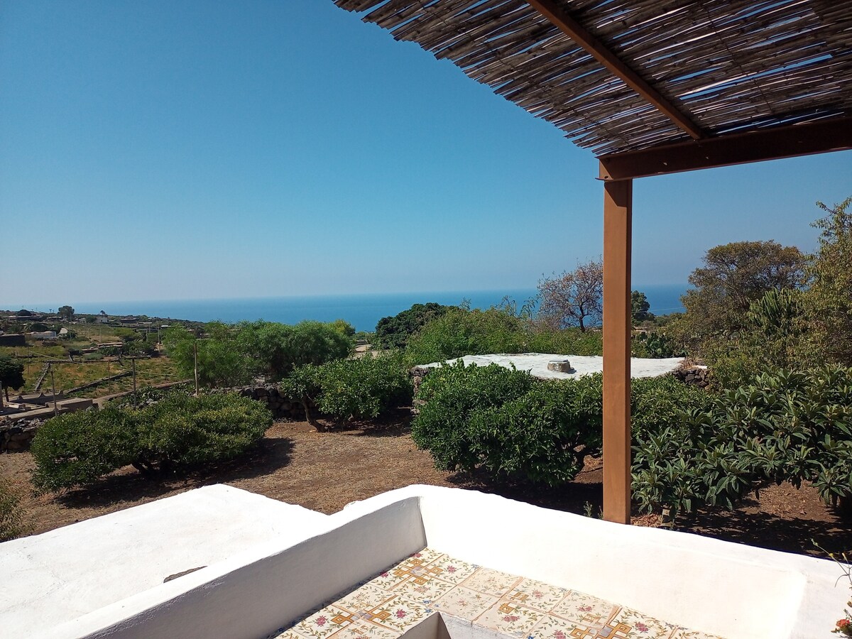 A scenic view showcases the expansive blue sea under a clear sky. Lush greenery and flowering shrubs are visible in the foreground, framed by a wooden pergola with a thatched roof, providing a shaded area for relaxation.
