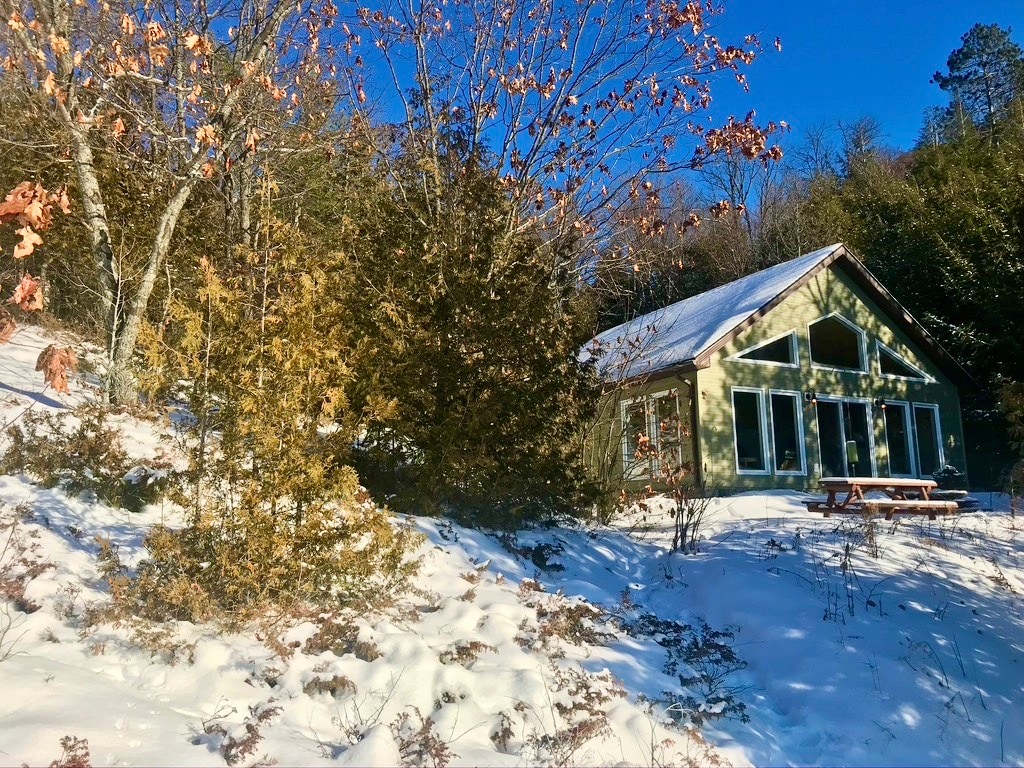 A green cottage is nestled among trees, surrounded by a blanket of fresh snow. Sunlight illuminates the scene, highlighting the snow-covered ground and the structure’s large windows. A picnic table is visible outside, offering a space for outdoor gatherings in a serene, winter landscape.