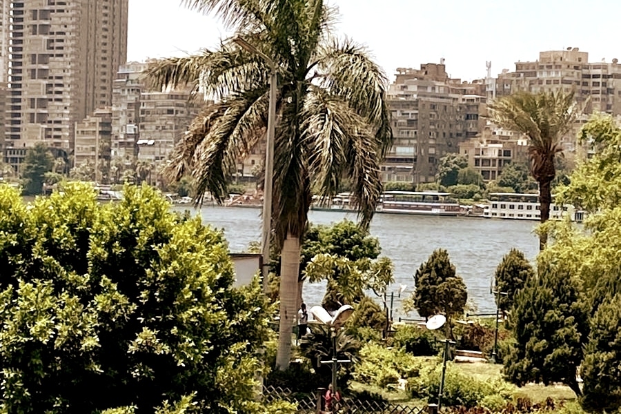 A vibrant view is presented, featuring lush greenery in the foreground with several palm trees. The Nile River is visible in the background, surrounded by urban buildings and structures that reflect the bustling life of Cairo.