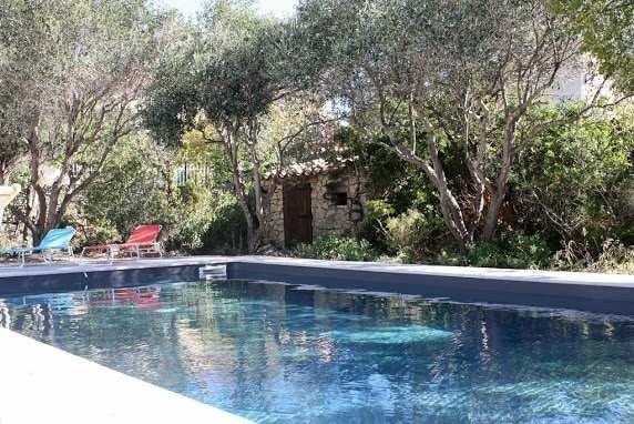 A serene pool is surrounded by lush greenery, including olive trees and shrubs. The pool's clear water reflects the sky, and two lounge chairs in red and blue are positioned nearby, inviting relaxation. A rustic entrance can be seen in the background, partially hidden by foliage.