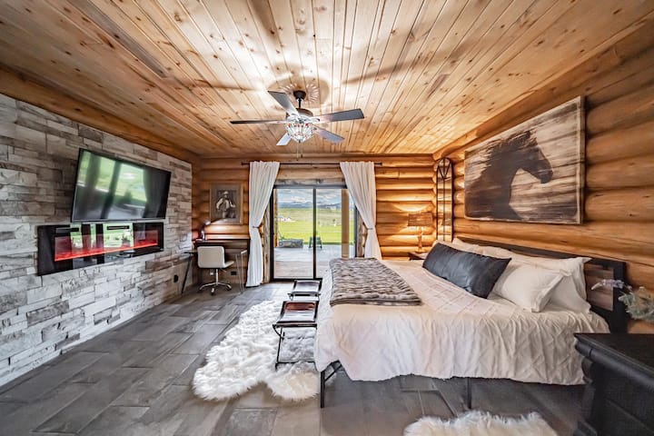 Chumba cha kulala chenye starehe cha ghorofa ya chini chenye meko, televisheni na ukumbi wa kujitegemea.
