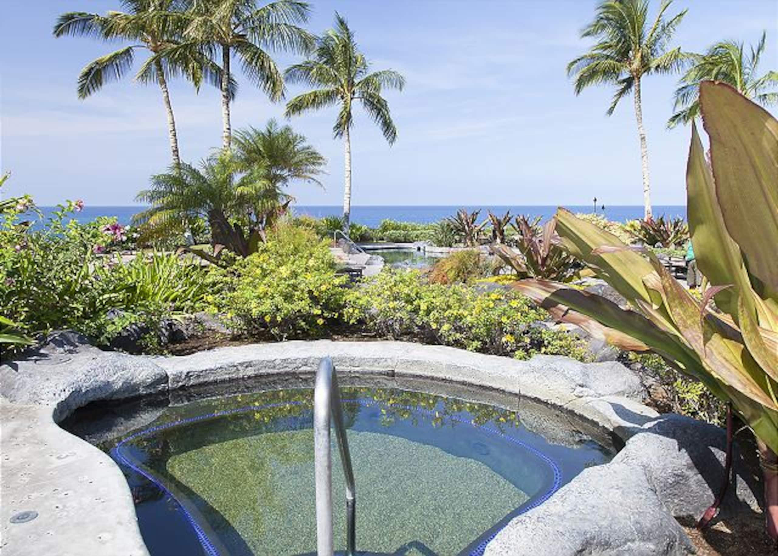 Beautiful 2 B/B with Ocean Club, Restaurant/Bar - Photo 37