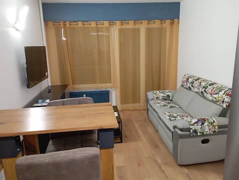 Top performing Airbnb: 2-room apartment + Parking in Annecy