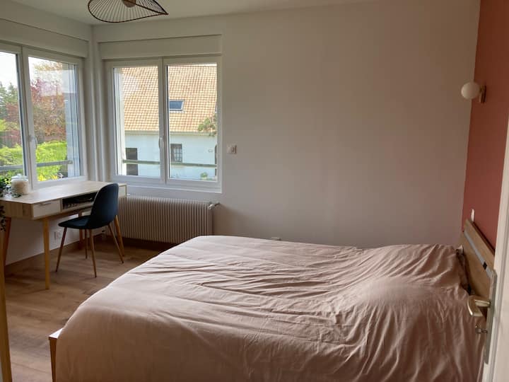 Habitación 1 - Planta baja 
Cama 160*200 + Armario + escritorio