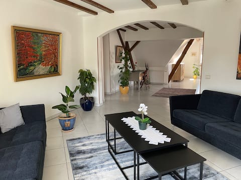 Successful Airbnb property: Elegant, 10 minutes to the city center by tram, free bike in Koenigshoffen