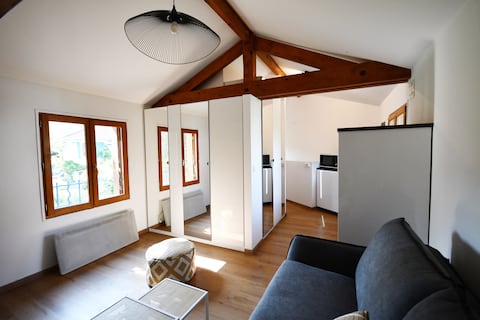 House with two large independent studios