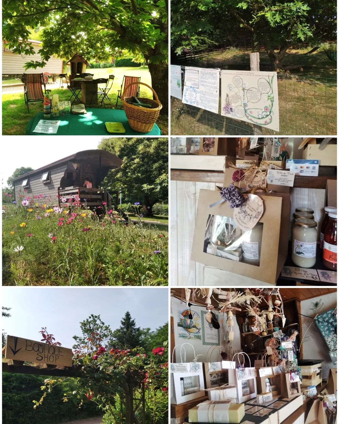 A tranquil outdoor seating area is shaded by a large tree, featuring a small table with two chairs and a basket. Nearby, colorful wildflowers grow, and a wooden structure with notice boards is visible, providing information about the surroundings. A charming shop display with various artisanal products is also highlighted.