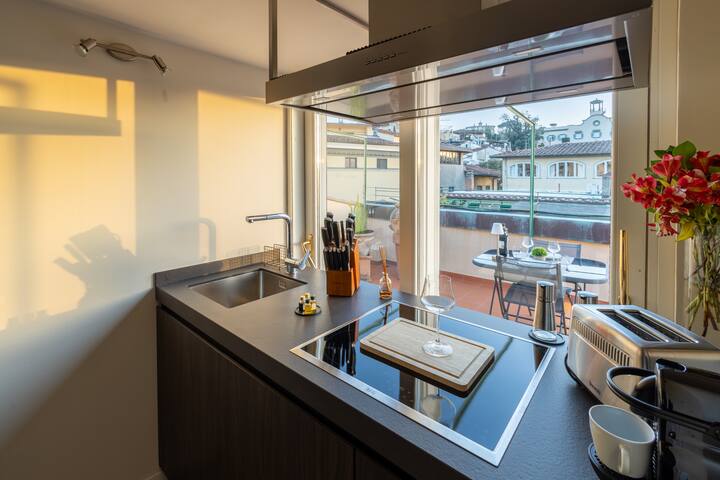 Luxury Apartment & Terraces – Medici Penthouse gallery image 5