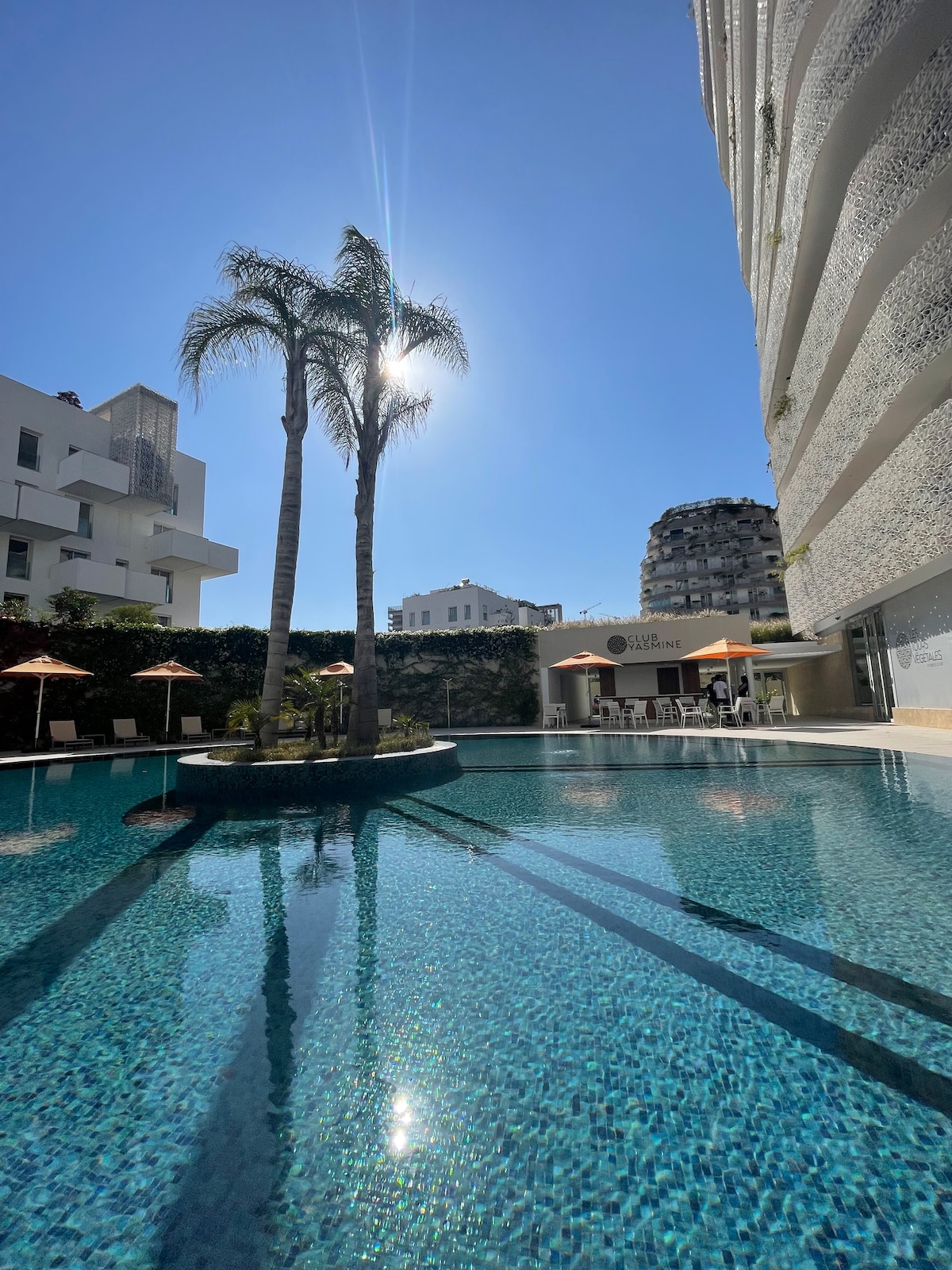 A shimmering swimming pool reflects sunlight, bordered by palm trees and lounge chairs with umbrellas. The modern building and surrounding greenery create a serene environment, inviting relaxation and outdoor leisure.