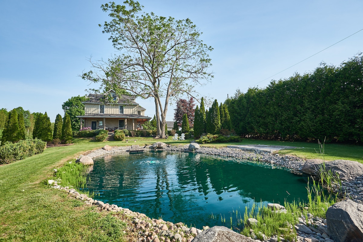 A tranquil pond is surrounded by lush greenery and a variety of shrubs. Smooth stones line the water's edge, while a spacious lawn is dotted with trees, providing shade. In the background, a multi-level house is visible, enhancing the peaceful outdoor setting.