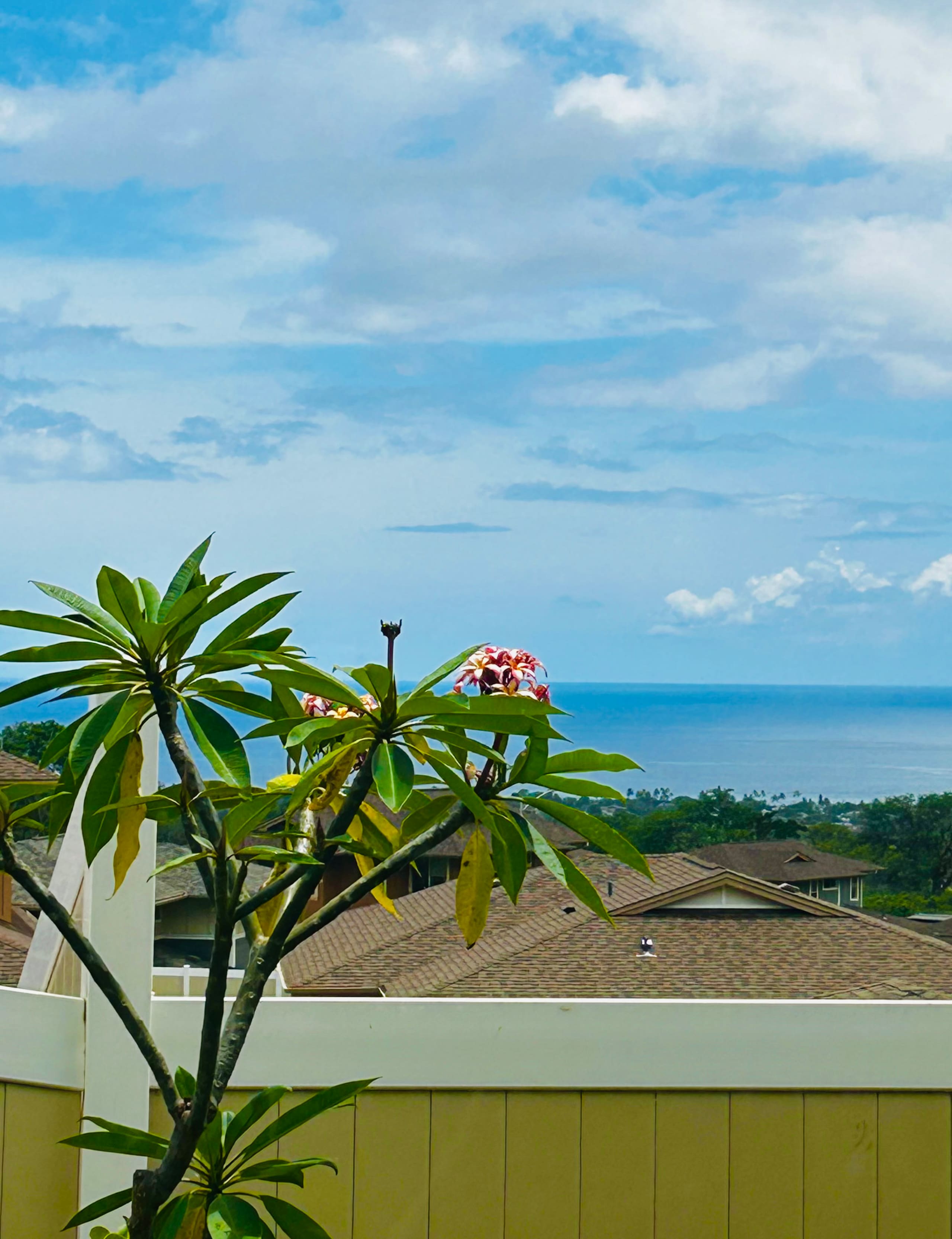 Guesthouse in Waianae · ★4.93 · Studio · 1 bed · 1 private bath - Image 30