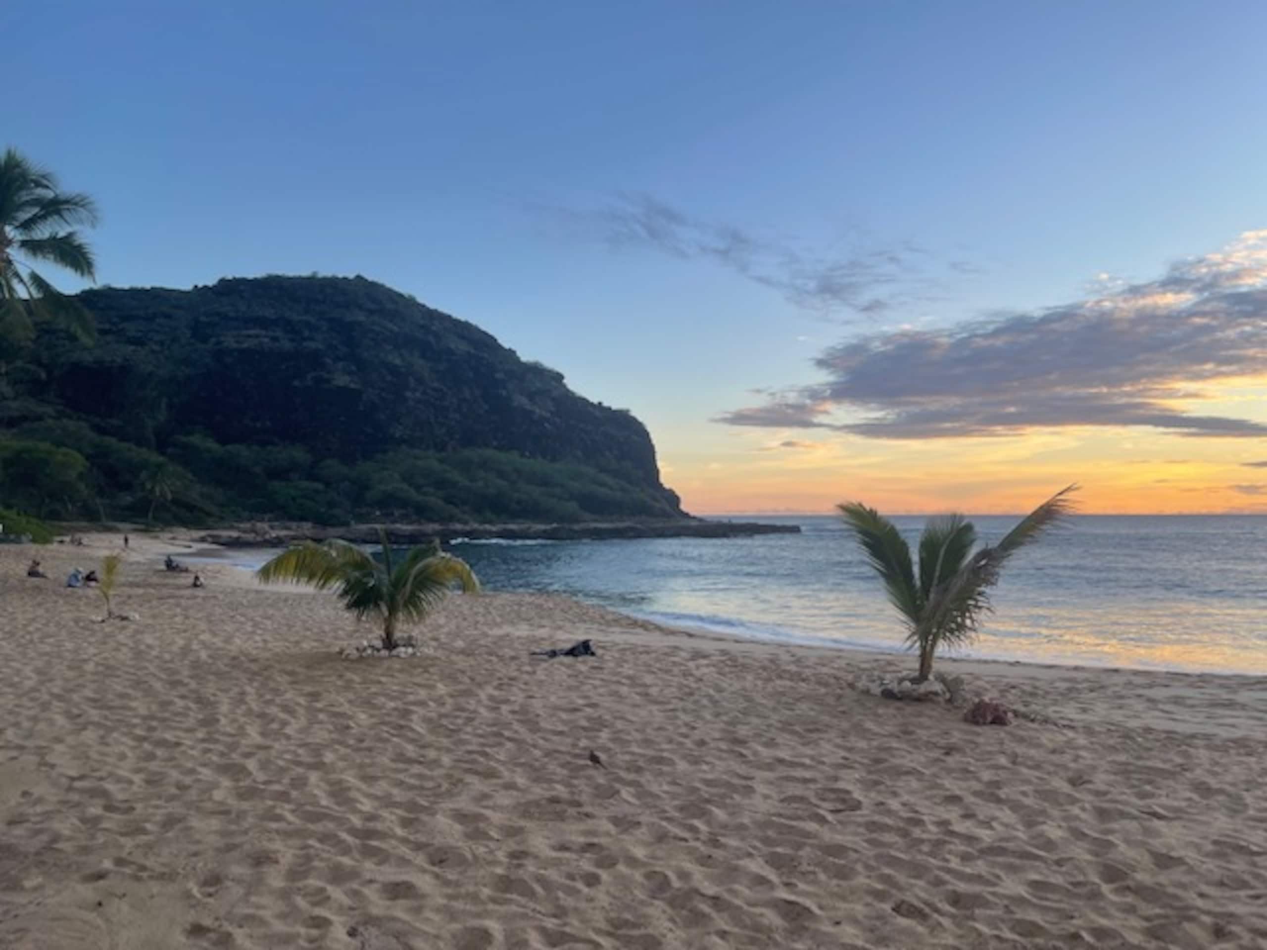 Guesthouse in Waianae · ★4.93 · Studio · 1 bed · 1 private bath - Image 42