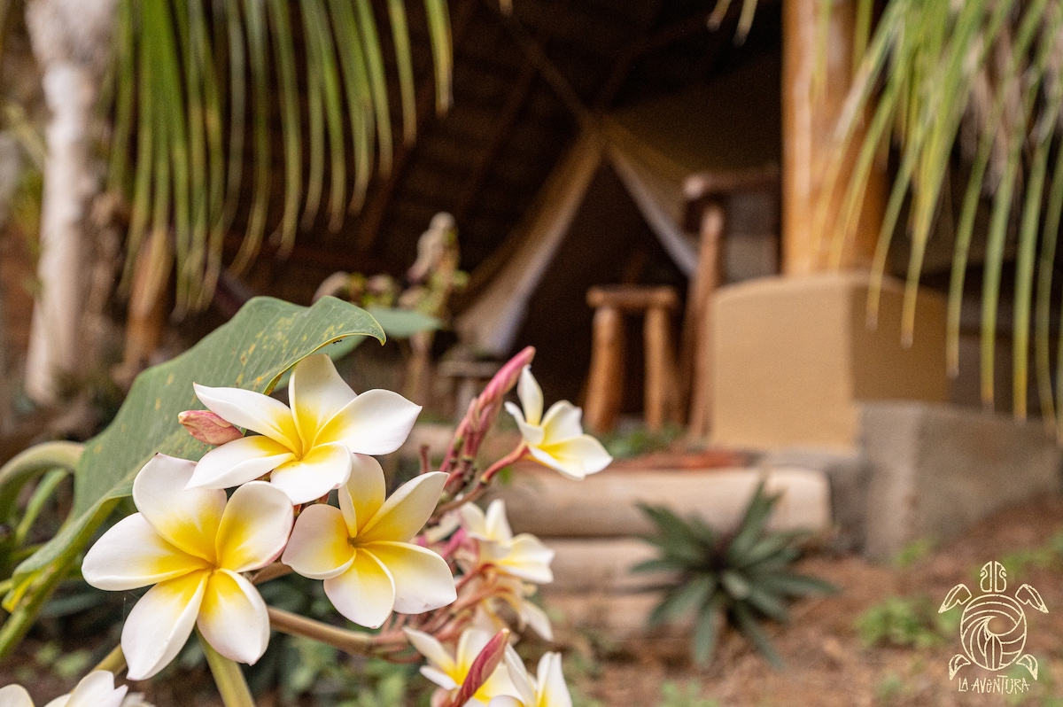 Delicate plumeria flowers are prominently displayed in the foreground, showcasing their white and yellow petals. In the background, a charming rustic structure is partially visible, surrounded by lush greenery and palm leaves, contributing to a serene and natural setting.