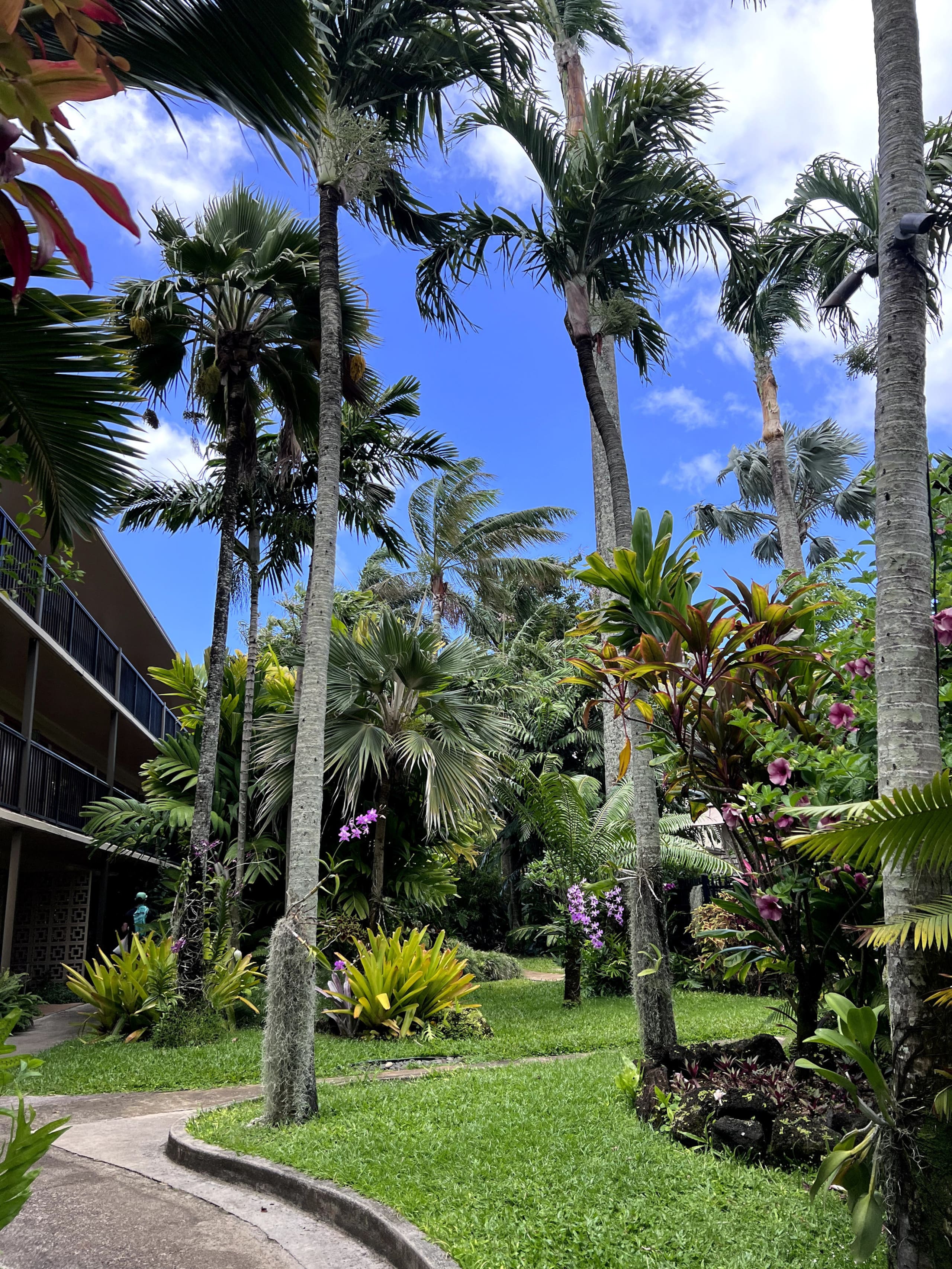 Tropical Oceanside Oasis - Photo 38