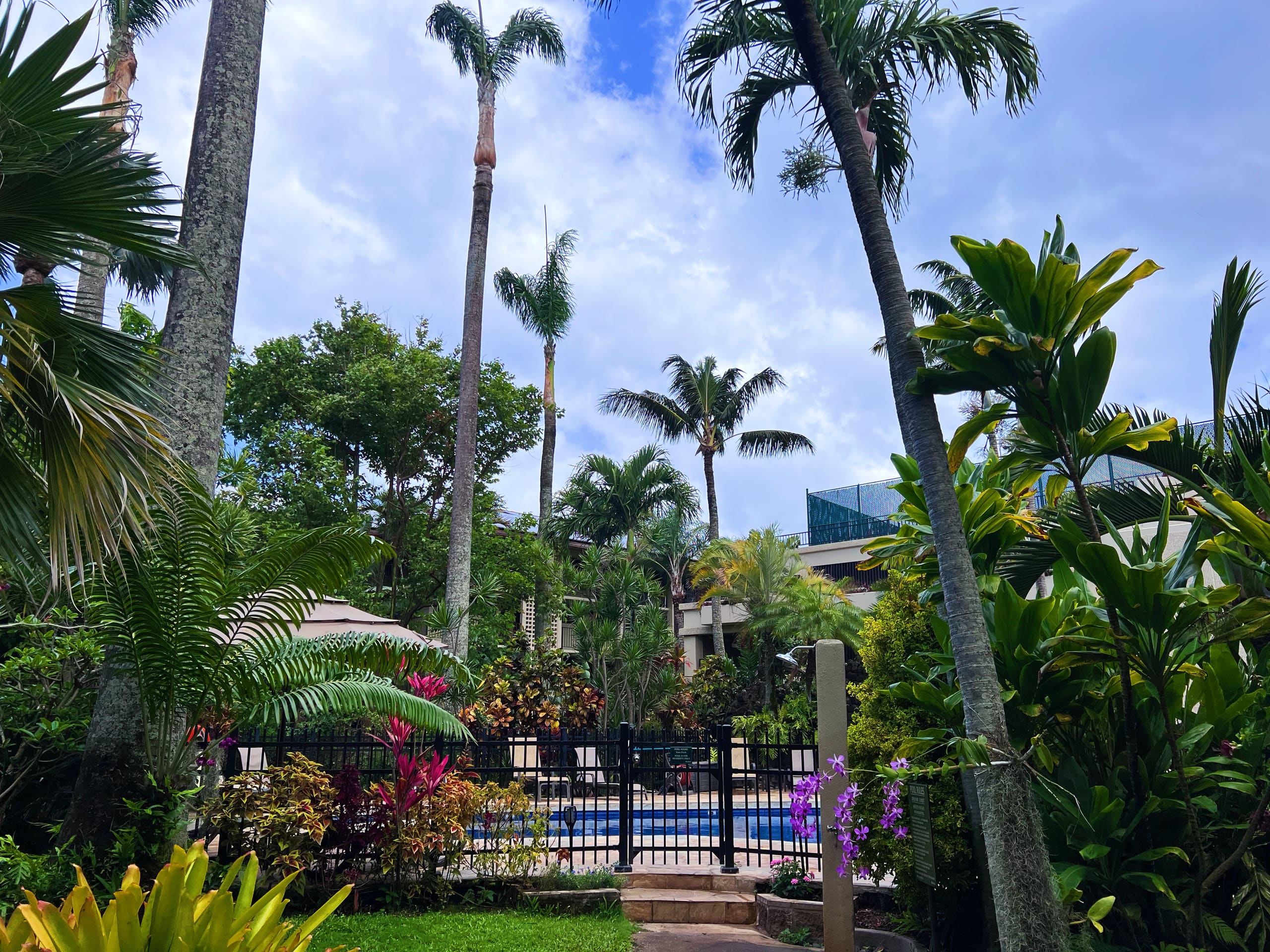 Tropical Oceanside Oasis - Photo 40