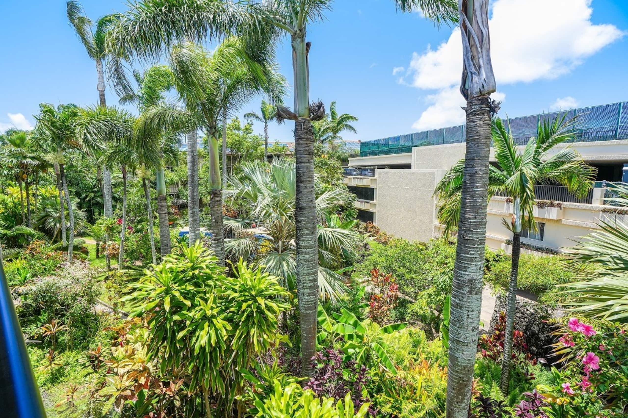 Tropical Oceanside Oasis - Photo 43
