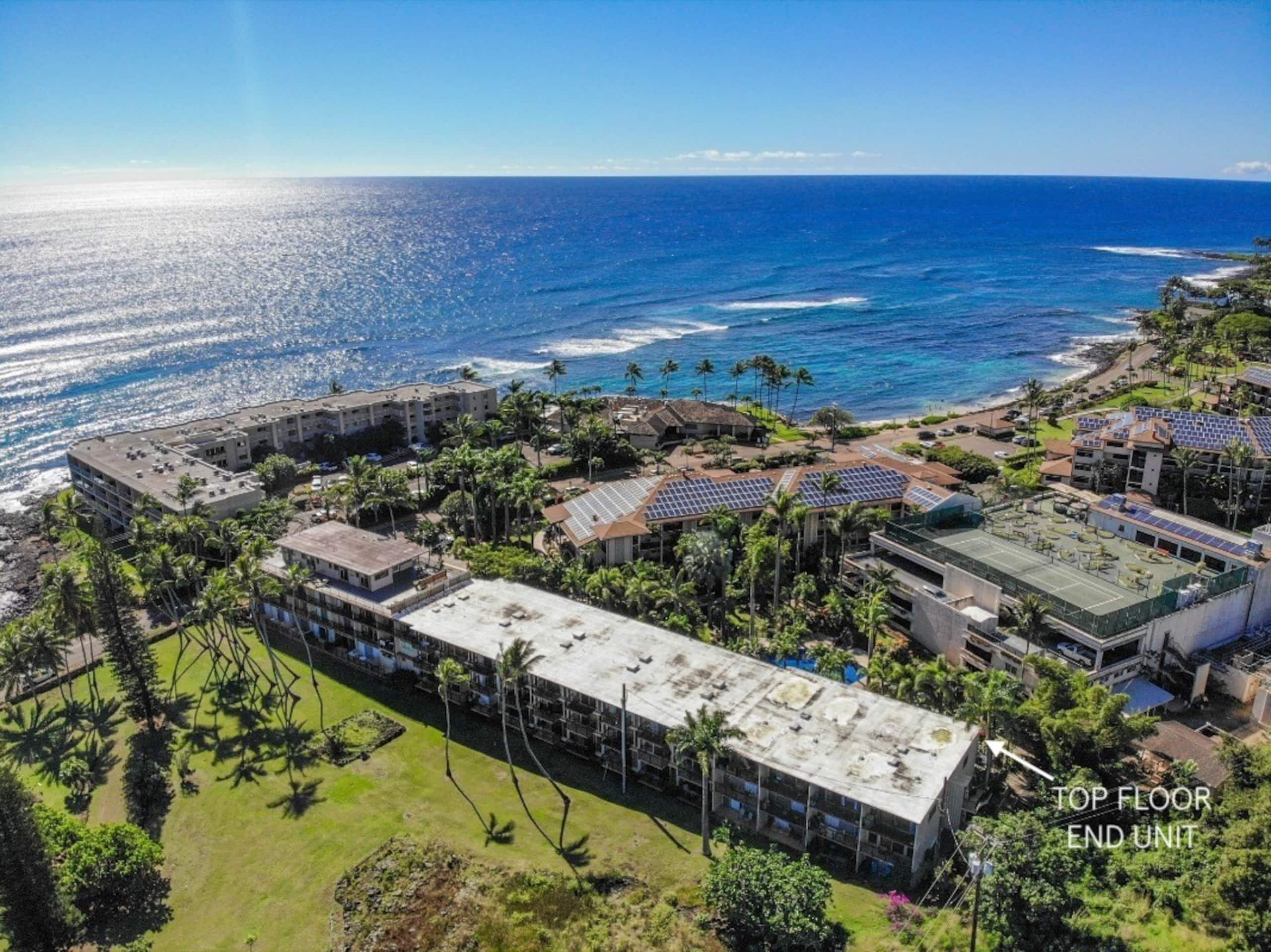 Tropical Oceanside Oasis - Photo 44