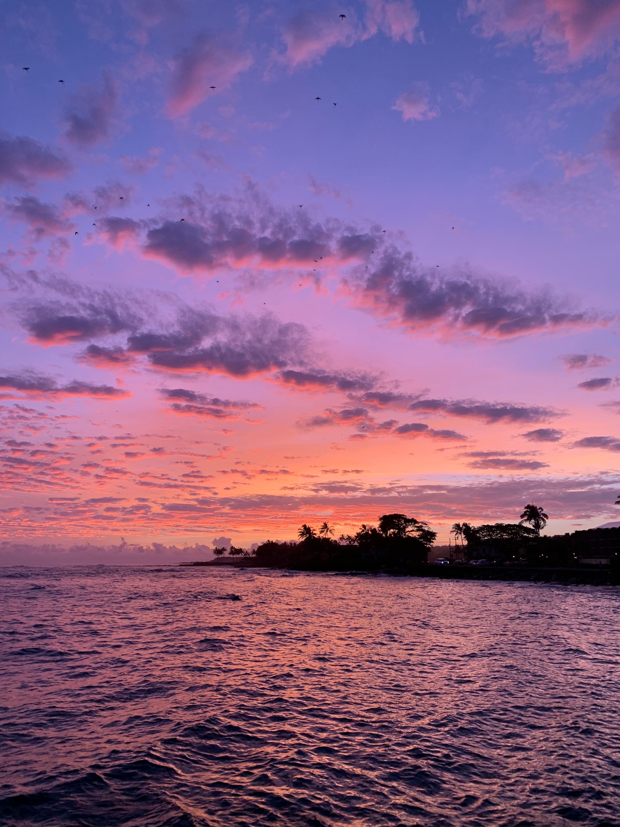 Tropical Oceanside Oasis - Photo 49
