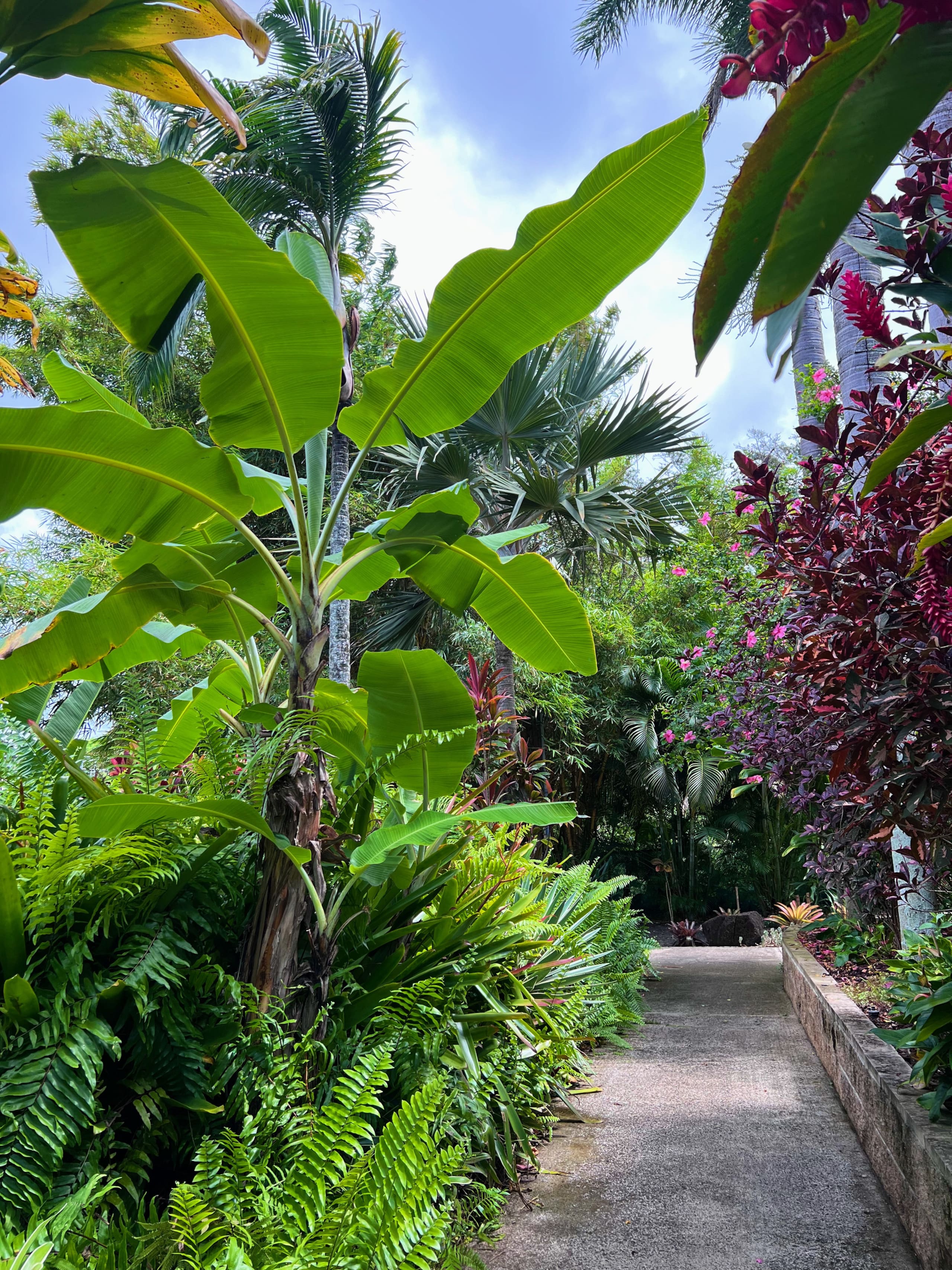 Tropical Oceanside Oasis - Photo 39
