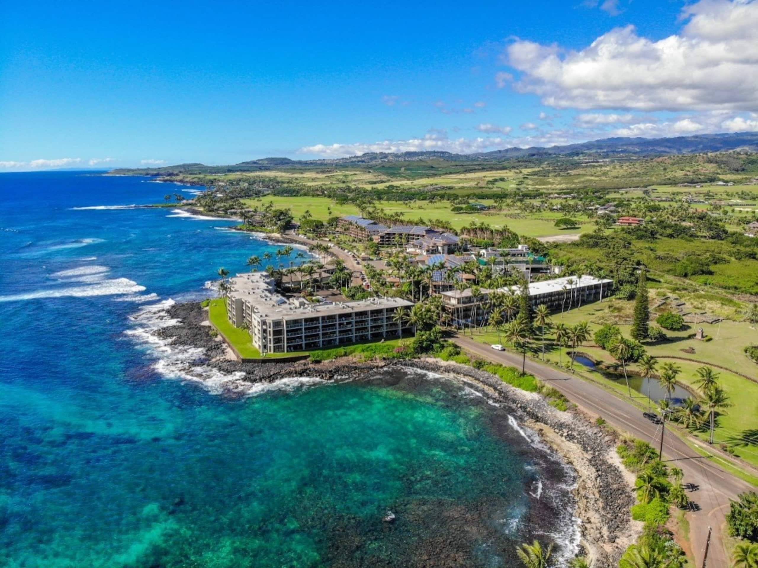 Tropical Oceanside Oasis - Photo 42