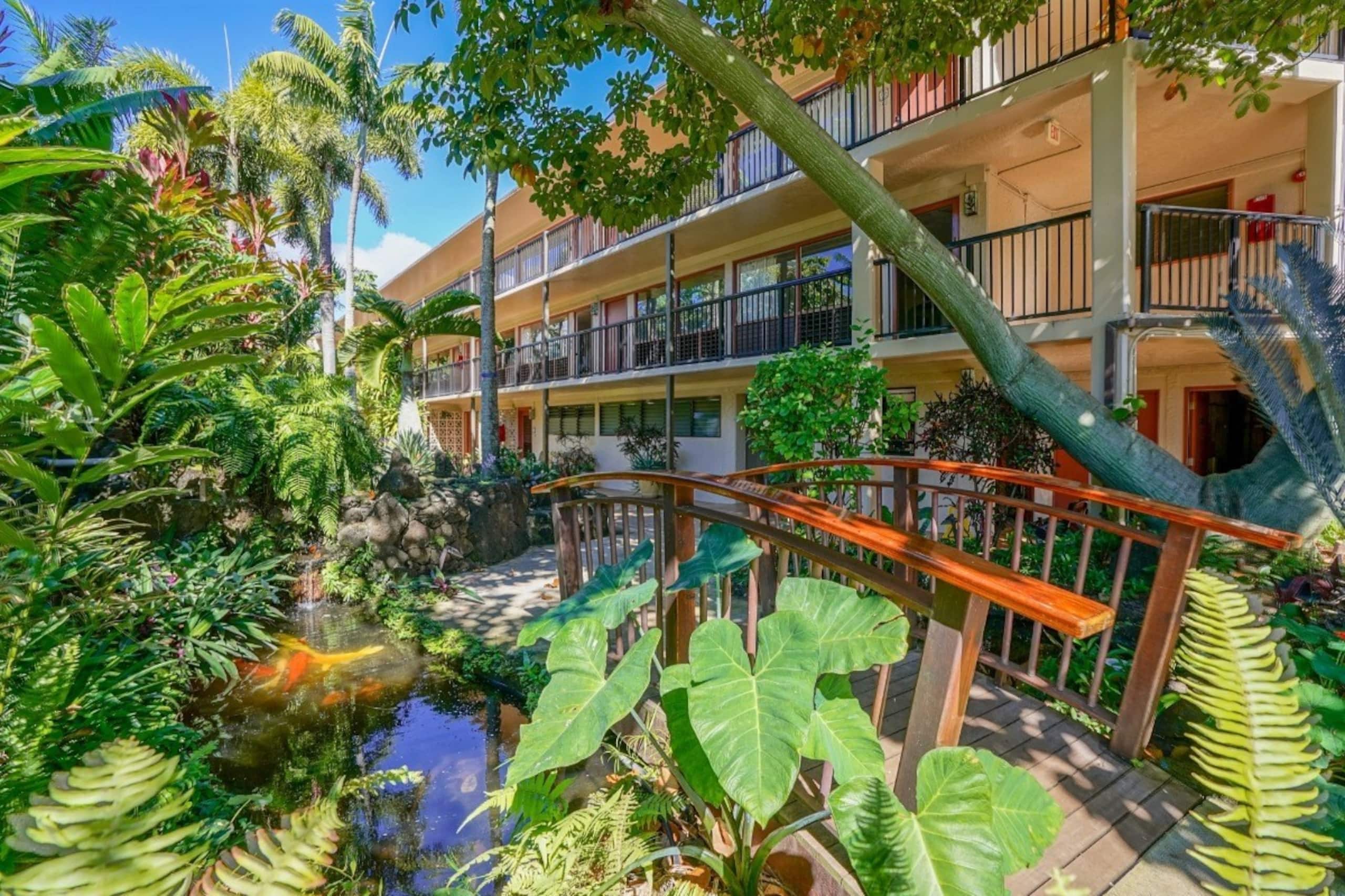 Tropical Oceanside Oasis - Photo 46