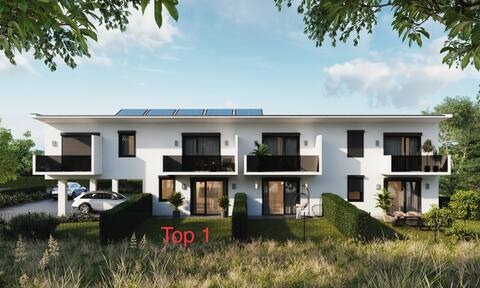 Successful Airbnb property: Apartment with garden in Graz in Liebenau