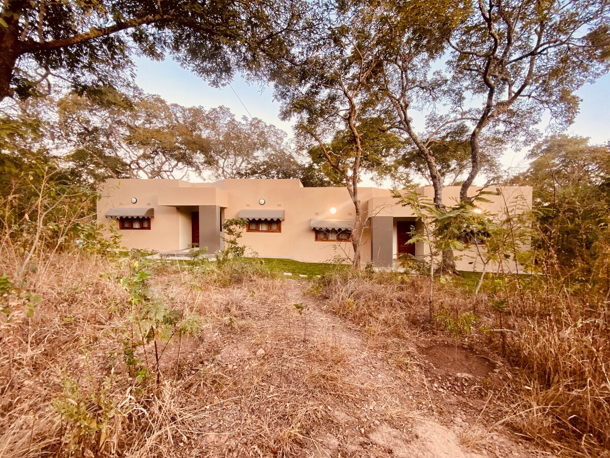 A single-story building sits harmoniously among trees, featuring multiple windows with wooden shutters. The surrounding area is adorned with natural foliage, highlighting the connection to the outdoors. Soft lighting from the structure adds to the serene ambiance, inviting tranquility.
