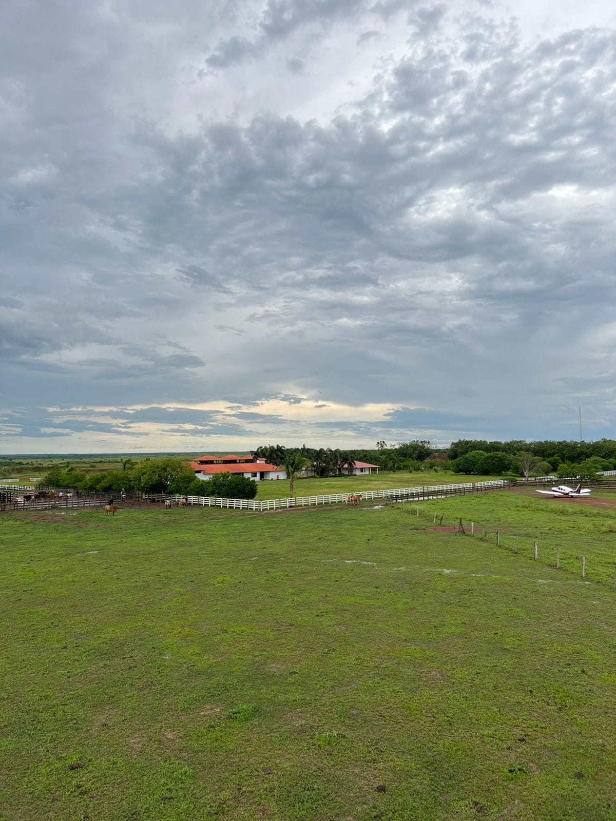 A wide-open landscape is showcased, featuring lush green grass under a cloudy sky. In the distance, a red-roofed building is visible, surrounded by trees. The horizon extends far, offering a sense of spaciousness and tranquility in the natural setting.