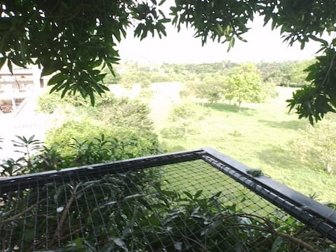 Successful Airbnb property: The tree house in Guaduas
