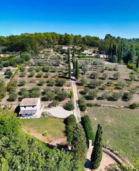Old olive estate near Valbonne village
