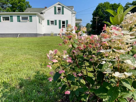 3BR Mid-Century | A/C | Mins to All Star Village