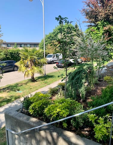 Luxury House in Vancouver