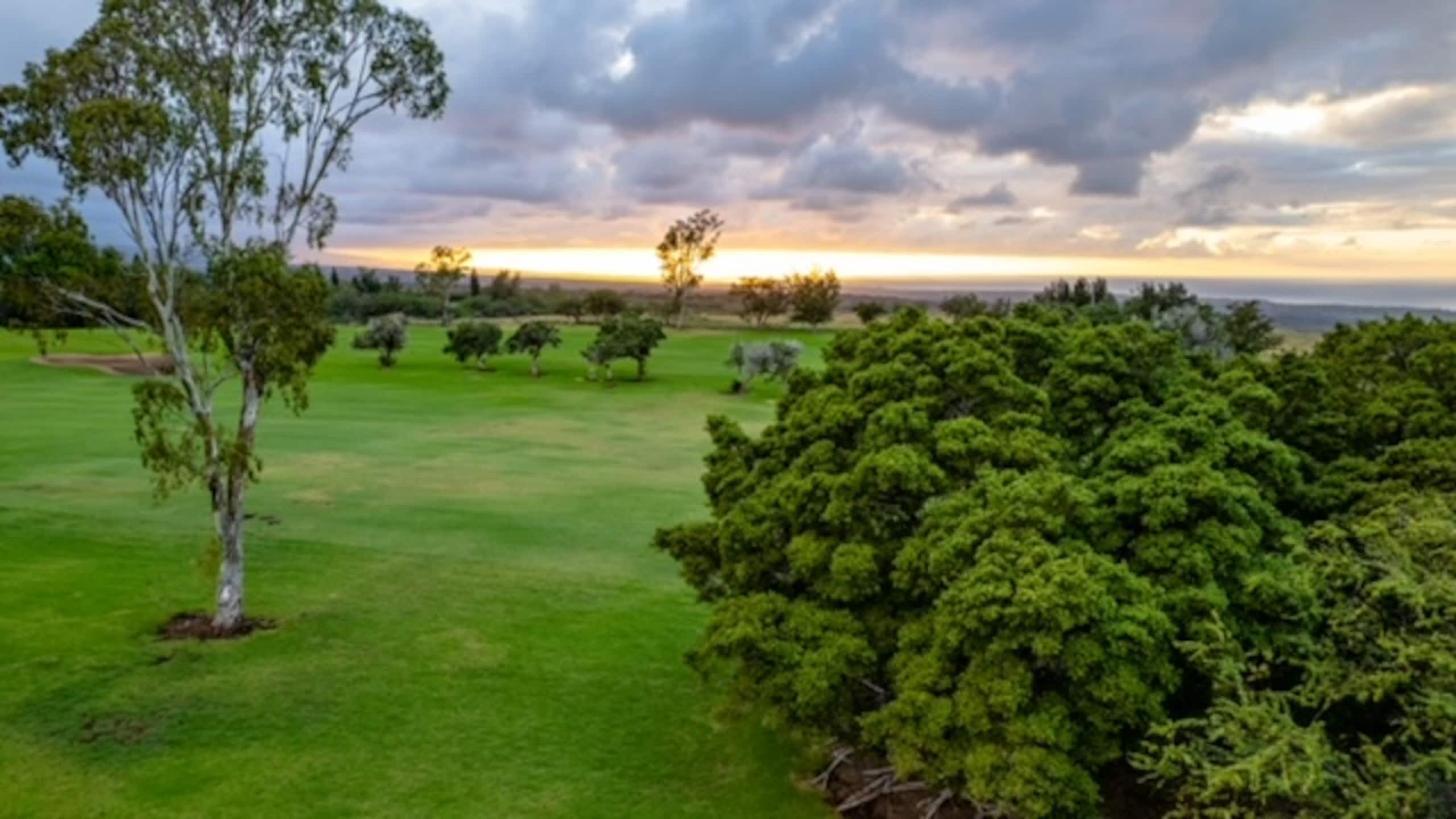 Home in Waikoloa Village · ★5.0 · 4 bedrooms · 6 beds · 3.5 baths - Photo 44