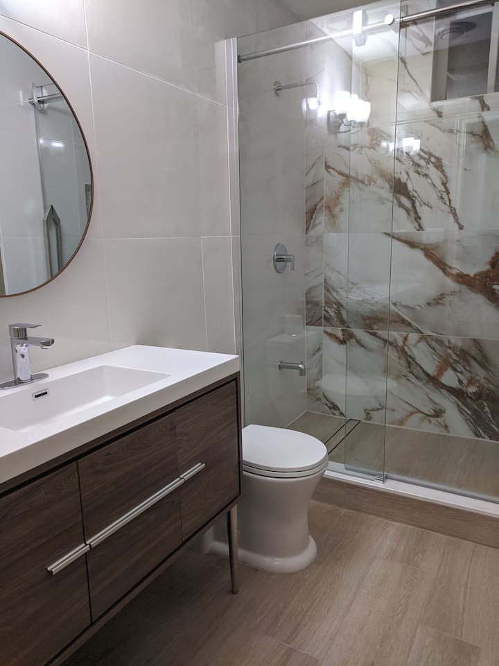 Large New Modern Basement Studio - Mississauga