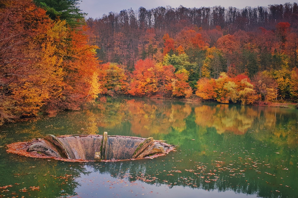 A calm body of water reflects vibrant autumn foliage, with trees displaying shades of orange, yellow, and red. The central feature of the image is a round stone structure emerging from the water, surrounded by fallen leaves.