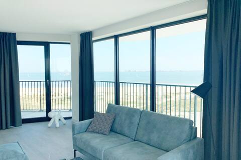 A luxury apartment with an amazing view