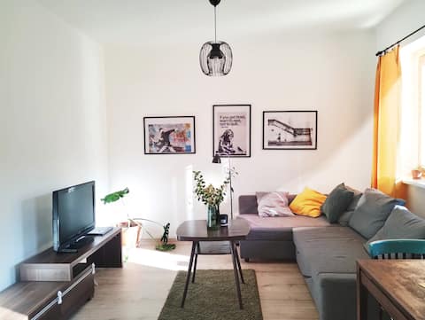 Lovely renovated flat in centre