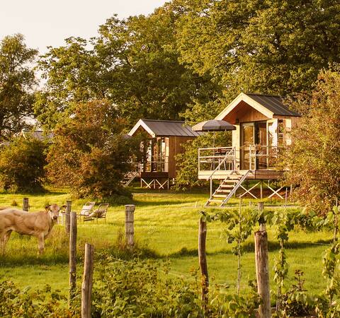 CABIN / Tiny house at PLEK17